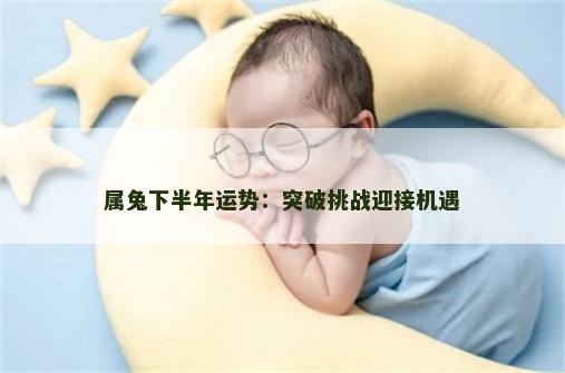 属兔下半年运势：突破挑战迎接机遇