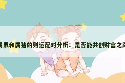 属鼠和属猪的财运配对分析：是否能共创财富之路